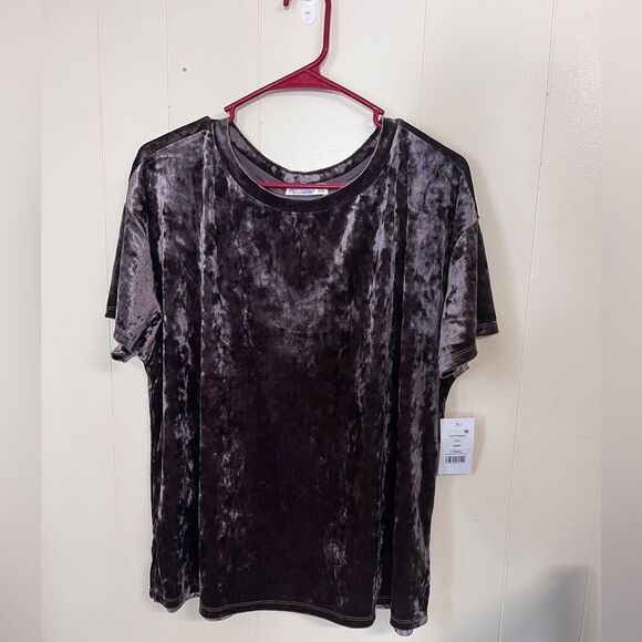 NWT 89th & Madison Velour Top Shirt Blouse Short Sleeve Iron Color Sz Large - Picture 1 of 6